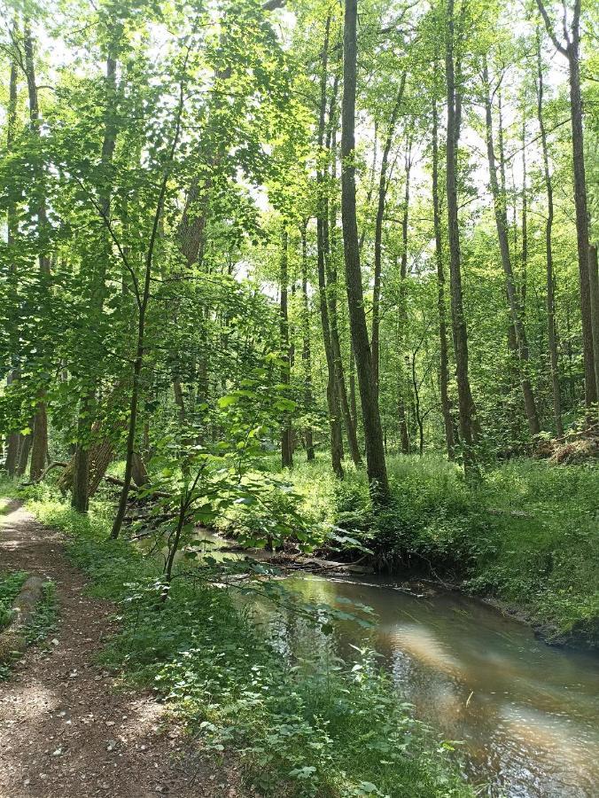 Ferienwohnung Heide 1 Walsrode Zewnętrze zdjęcie
